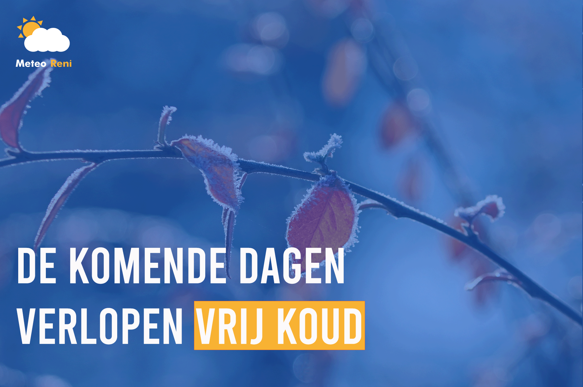 De komende dagen verlopen vrij koud